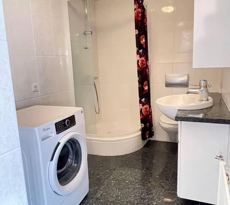 Cozy Centrally Located In Reiquiavique